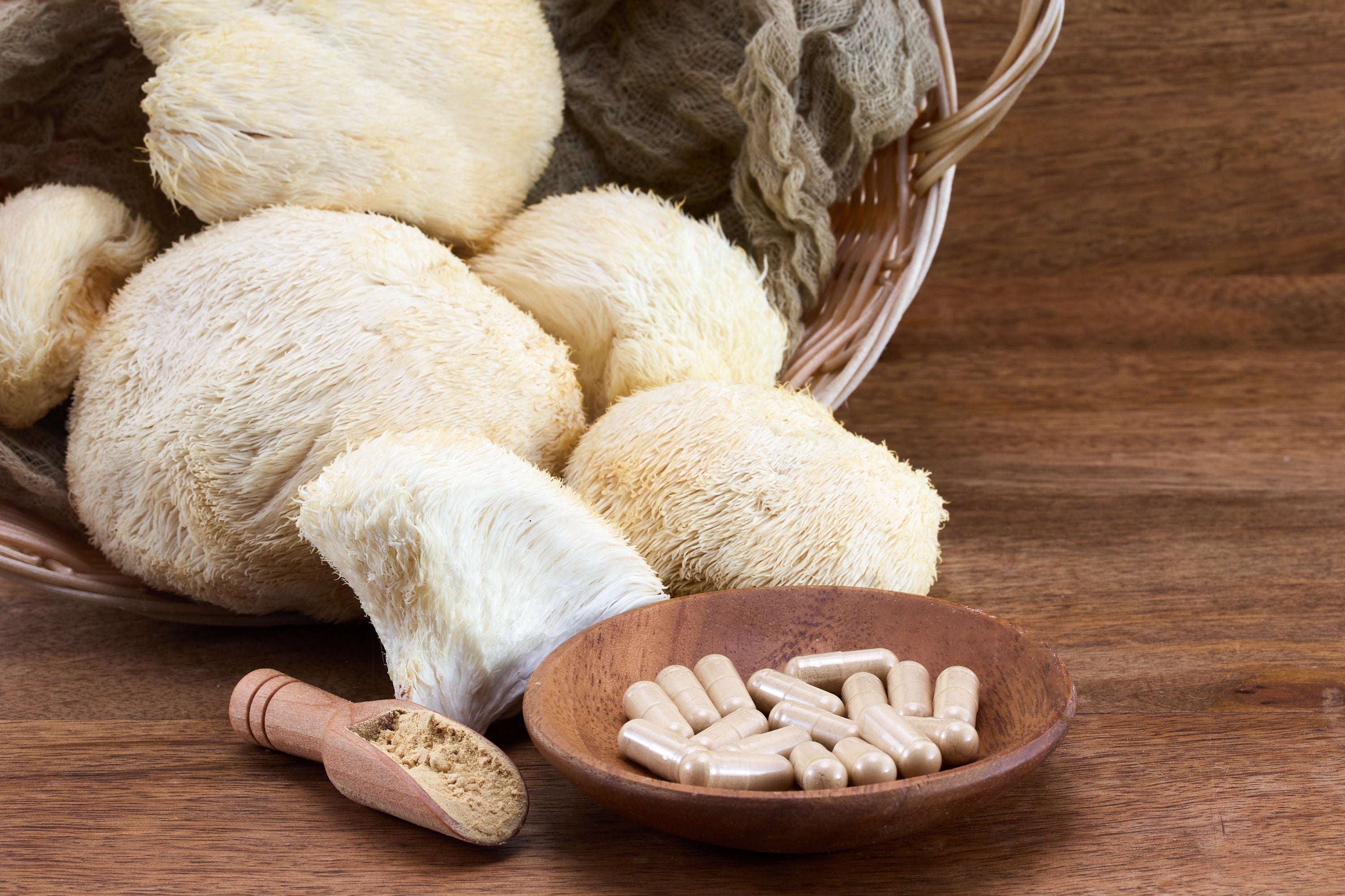 Everything You Need to Know About Lion’s Mane Mushrooms